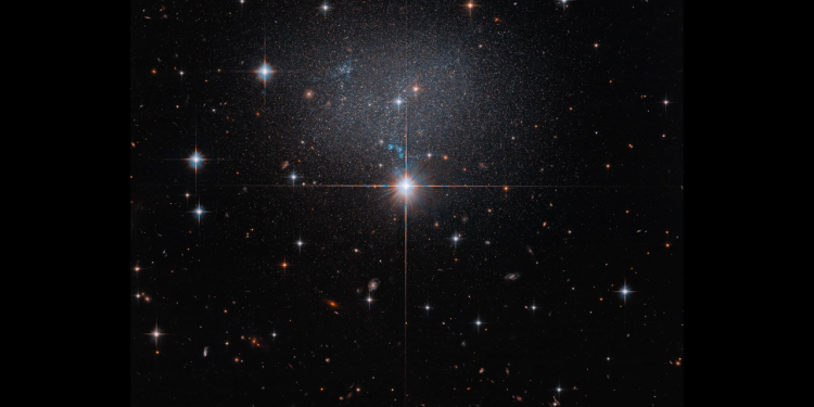 Hubble spies a swarm of stars in a strange, irregular galaxy | Space photo of the day for 15, 2026