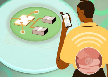 A berry-sized thermometer measures body temp. But you have to eat it.