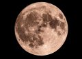 Moon phase today: What the Moon will look like on April 14