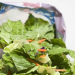 UK salad sampling reveals low contamination rate
