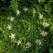 EU Sustainable Supply Chains Coalition created in run up to EUDR