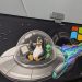 These 4 alien Linux concepts confused me when I switched from Windows