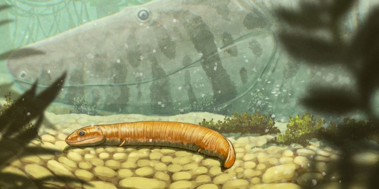 ‘A completely different story’: 300 million-year-old fossils reveal the first vertebrate land dwellers weren’t what we thought, researchers claim