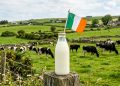 5 big food trends in Ireland