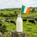 5 big food trends in Ireland