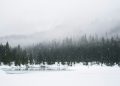 A ‘Sustained’ Crypto Winter? Trading Volume Hits Lowest Levels Since 2023 – Report