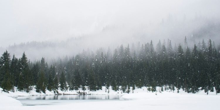 A ‘Sustained’ Crypto Winter? Trading Volume Hits Lowest Levels Since 2023 – Report