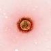 South Carolina’s measles outbreak is over after sickening nearly 1,000 people