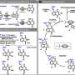 Taking the guesswork out of drug development for Chagas disease