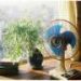 Why heat deaths occur during low-level alerts, new study