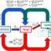 Modeling nuclear fusion at lightning speed