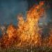 Analyzing wildfire behavior can help detect risk zones earlier and support fire‑smart strategies