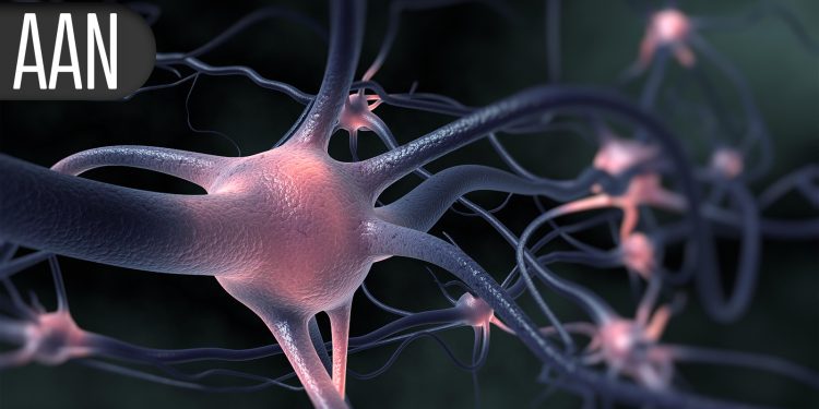 Real-World Registry Study Shows Alzheimer’s Drug Safety Outcomes
