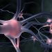 Real-World Registry Study Shows Alzheimer’s Drug Safety Outcomes
