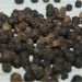 EU audit shows improved Brazilian Salmonella situation for pepper and watermelon