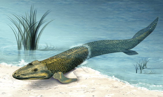 These Ancient Baby Predators Challenge Our Understanding of Evolution