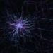 New tool can see how different brain cell types work together