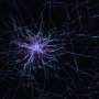 New tool can see how different brain cell types work together