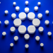 Cardano’s Leios Upgrade and Bitcoin DeFi Tool Pogun Headline Input Output’s 2026 Funding Slate