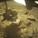 Perseverance Scratches the Martian Surface, Finds Organic Carbon