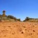 Extreme heat is harming remote First Nations communities. It’s time we listen to them