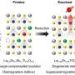 Nanoparticle exsolution opens a new route to functional oxide electronics and spintronics