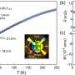 Nearly isotropic superconducting property revealed in trilayer nickelate