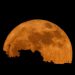June’s Strawberry Moon is unlike any other full moon. Here’s why