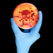 Dutch study estimates sources of infections