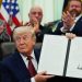 Trump Signs Order to Speed Review of Controversial Ibogaine, Other Psychedelics