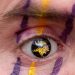What We Got Wrong about the Vikings’ Offseason