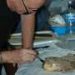 Mummified dogs reveal Tiwanaku people buried companions beside homes long before they became status symbols