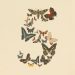 Anthropic’s Fable 5 is back after US shutdown it called ‘a misunderstanding’