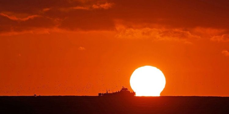‘Uncharted territory’: Record high ocean temperatures confirmed for June as El Niño strengthens its grip