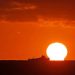 ‘Uncharted territory’: Record high ocean temperatures confirmed for June as El Niño strengthens its grip