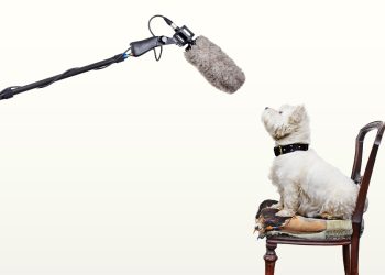How to Nail Your Next Media Interview