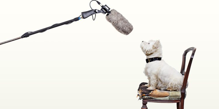 How to Nail Your Next Media Interview
