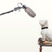 How to Nail Your Next Media Interview
