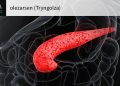 Severe Hypertriglyceridemia Drug Approved to Reduce Triglycerides, Pancreatitis Risk