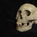 Ancient teeth from Siberia rewrite the plague’s timeline, dating back to over 5,500 years ago