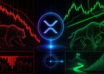 XRP’s Leverage Has Been Flushed Out, But Price Is Still Holding: Find Out What Follows That Setup