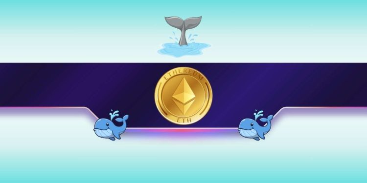 Ethereum Whales Go on Accumulation Spree as ETH Awaits Major Trigger
