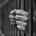 Real Estate Investment Guru Gets 5 Years in Prison for Fraud