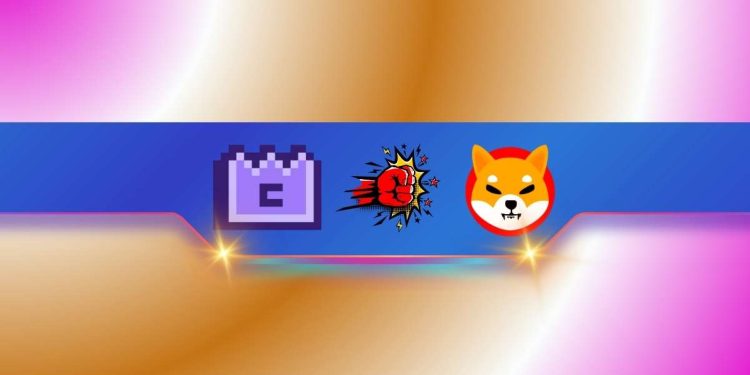 Shiba Inu (SHIB) Lost Its Prestigious Position Once Again: Is a Comeback Possible?