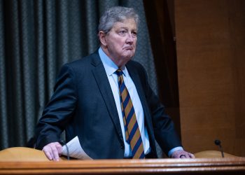 ‘The new animal at the zoo’: John Kennedy is suddenly everywhere