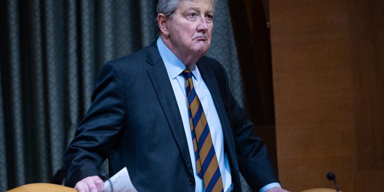 ‘The new animal at the zoo’: John Kennedy is suddenly everywhere