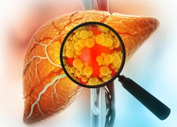 Experimental drug reverses severe fatty liver disease by repairing the gut