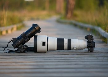 I took the new Sony RX10 V superzoom and a pro Sony mirrorless camera with 400-800mm lens on a bird photography trip — here’s how the two systems compared