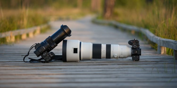 I took the new Sony RX10 V superzoom and a pro Sony mirrorless camera with 400-800mm lens on a bird photography trip — here’s how the two systems compared