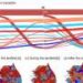 The gap between forecasts and reality can change public emotions during disasters